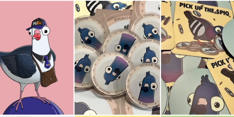 Project Interview: In Conversation with Pigeon Quest — Where Memes Meet Meaning